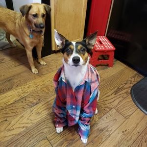 Meet your Posher, Marlie